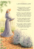 Country Rhymes poetry-  Lavender Lady