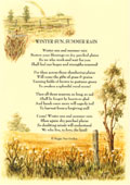 Country Rhymes poetry -  Winter Sun, Summer Rain
